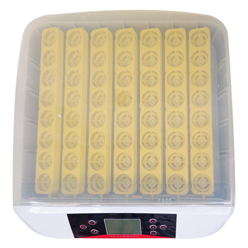Incubadora Automática 56 Huevos – Luz LED, Giro Automático, Control de Temperatura y Humedad