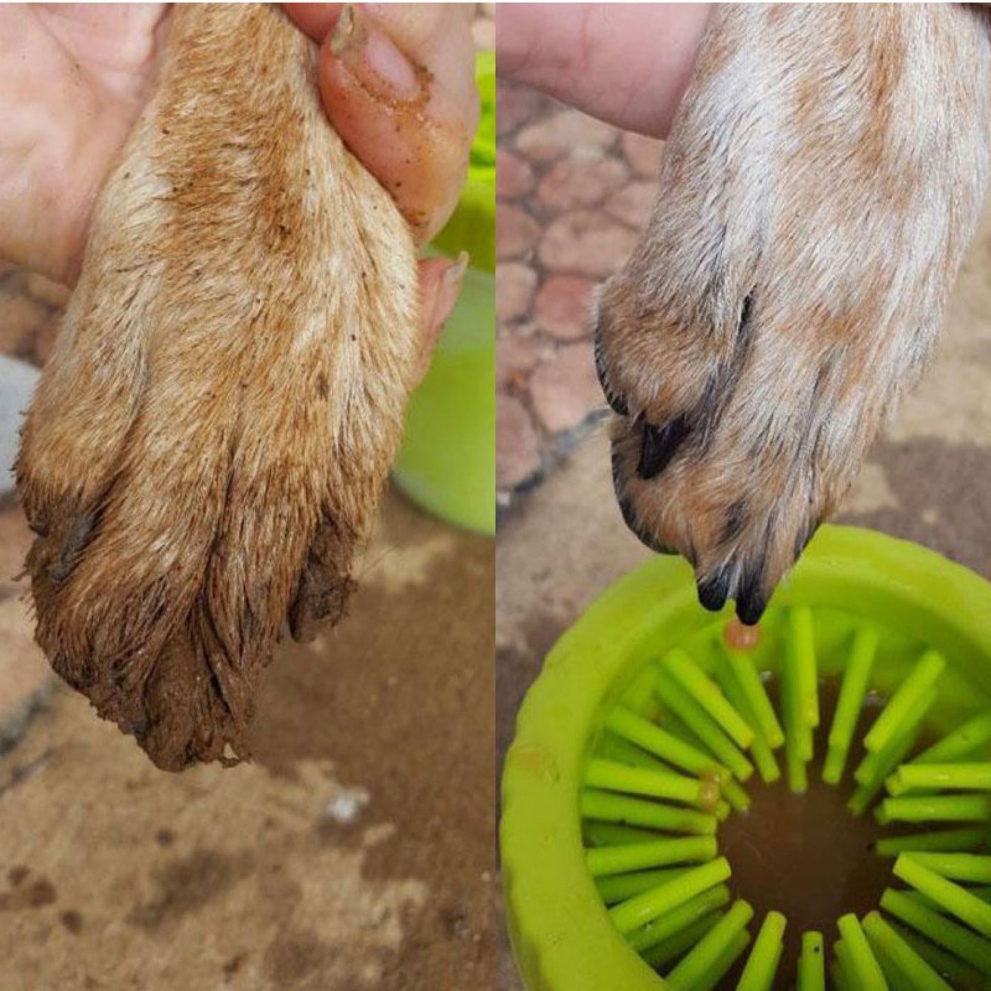 Limpiador de Patas para Perros raza pequeña y Gatos Portátil Lavable con Cerdas de Silicona