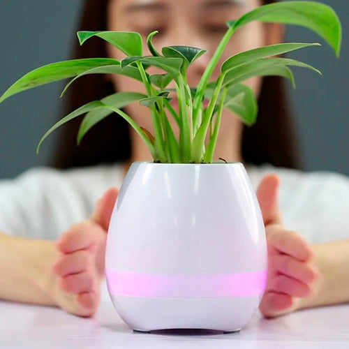 Parlante Bluetooth Matera. Luz LED de 7 colores, para Plantas Pequeñas