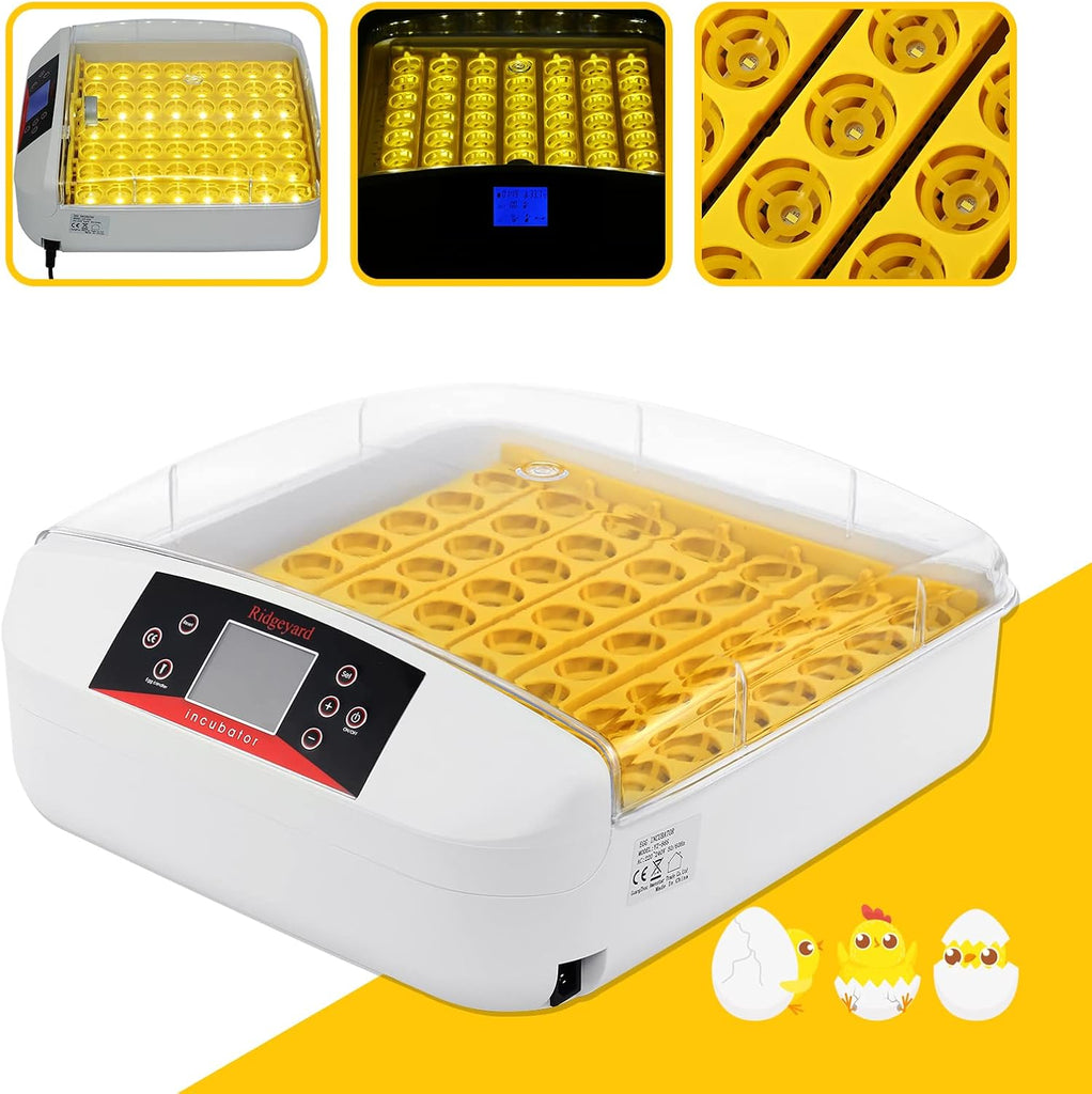 Incubadora Automática 56 Huevos – Luz LED, Giro Automático, Control de Temperatura y Humedad