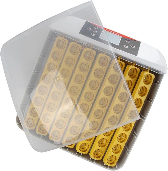 Incubadora Automática 56 Huevos – Luz LED, Giro Automático, Control de Temperatura y Humedad