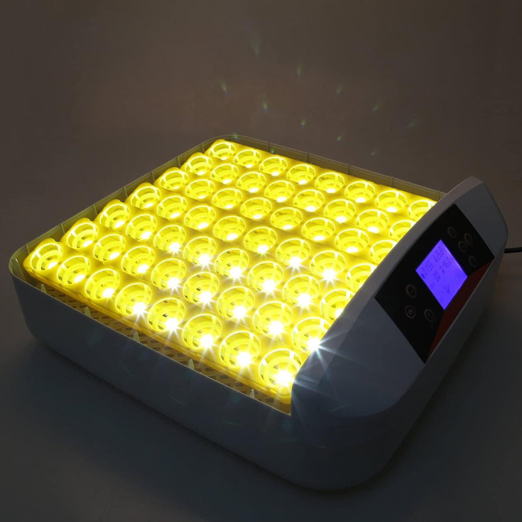 Incubadora Automática 56 Huevos – Luz LED, Giro Automático, Control de Temperatura y Humedad