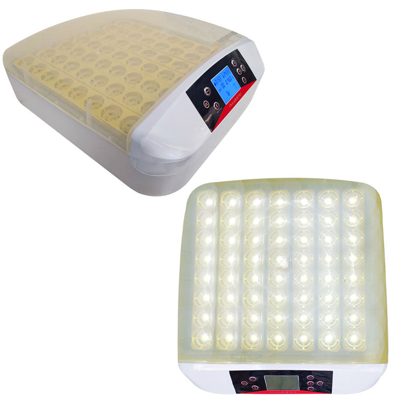Incubadora Automática 56 Huevos – Luz LED, Giro Automático, Control de Temperatura y Humedad