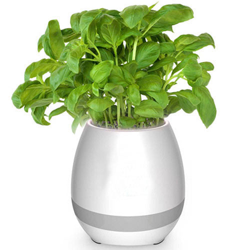 Parlante Bluetooth Matera. Luz LED de 7 colores, para Plantas Pequeñas