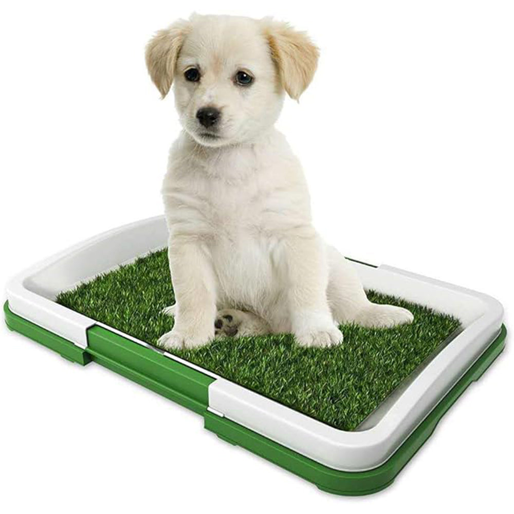 Tapete de Entrenamiento para Perros | Absorbente y Antifugas para Cachorros